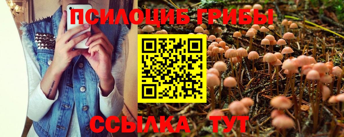 Псилоцибиновые грибы Cubensis Дюртюли