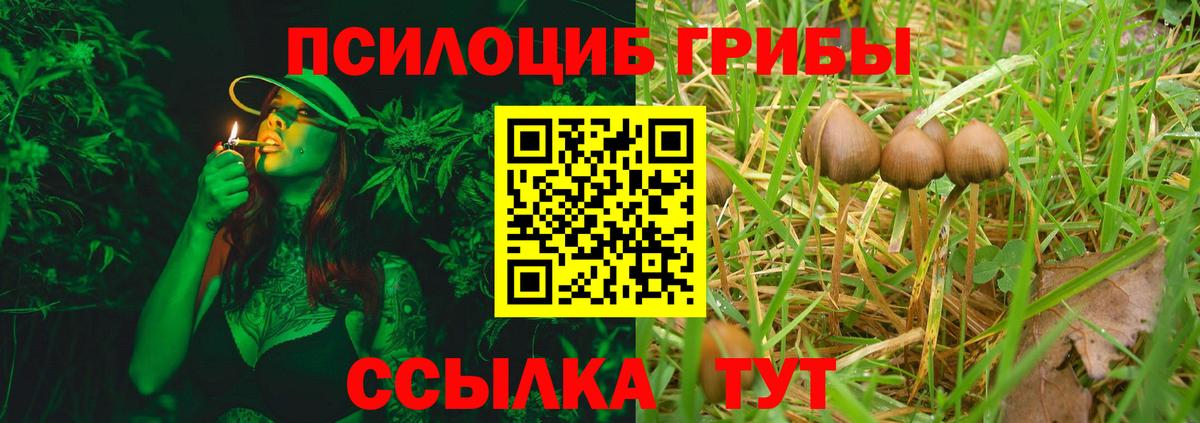 Галлюциногенные грибы мухоморы  Галлюциногенные грибы Psilocybe  Вход с VPN  Дюртюли 